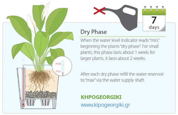 "Dry" Phase